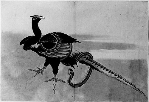 Pheasant and Snake, 1799, Katsushika Hokusai