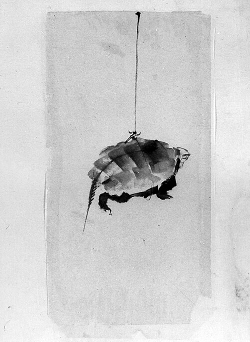 Tortoise Suspended By String, 1799, Katsushika Hokusai