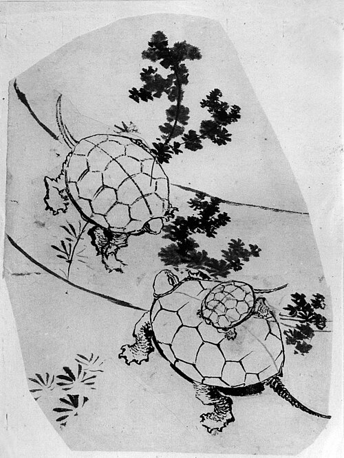 Turtles, 1804, Hokusai
