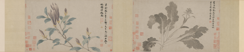沈周辛夷墨菜图卷, , Shen Zhou