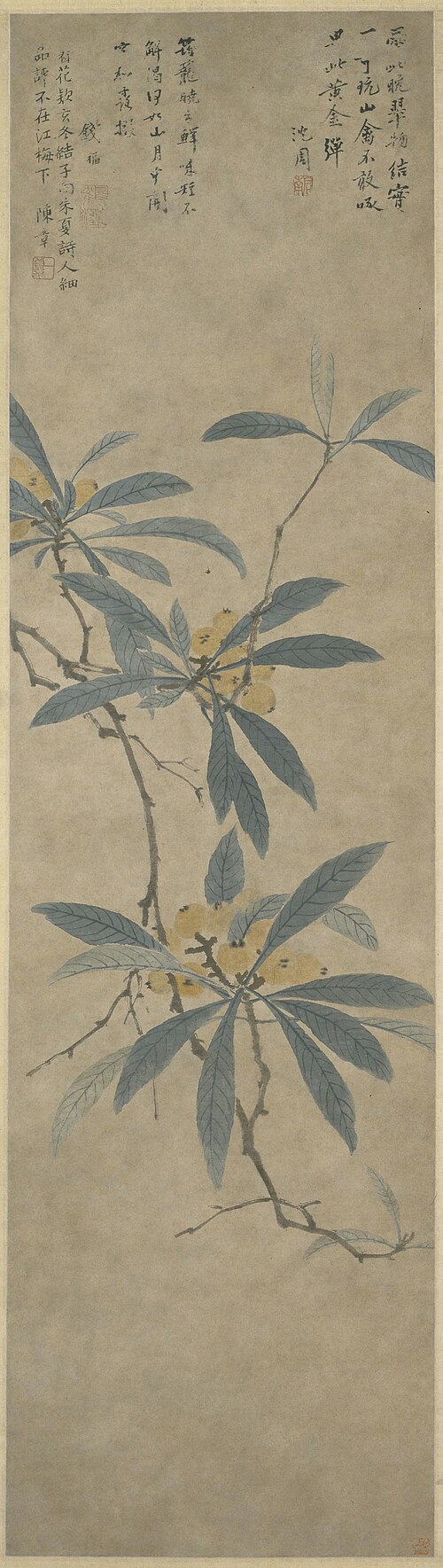 沈周枇杷图轴, , Shen Zhou