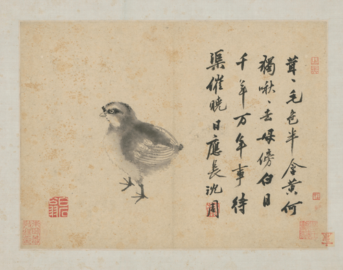 沈周卧游图册－雏鸡, , Shen Zhou