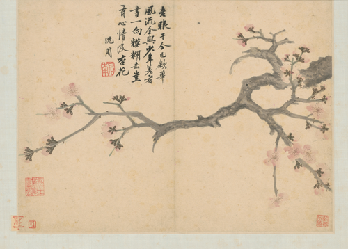 沈周卧游图册－杏花, , Shen Zhou