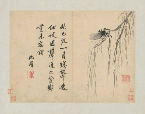 沈周卧游图册－柳蝉, , Shen Zhou
