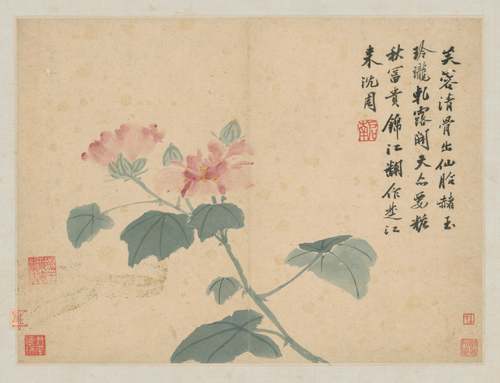沈周卧游图册－芙蓉, , Shen Zhou