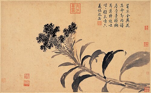 Cockscomb, 1494, Shen Zhou