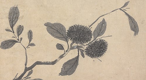 Fruit, , Shen Zhou