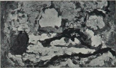 Sketch for Le Bonheur de vivre, 1906, Henri Matisse