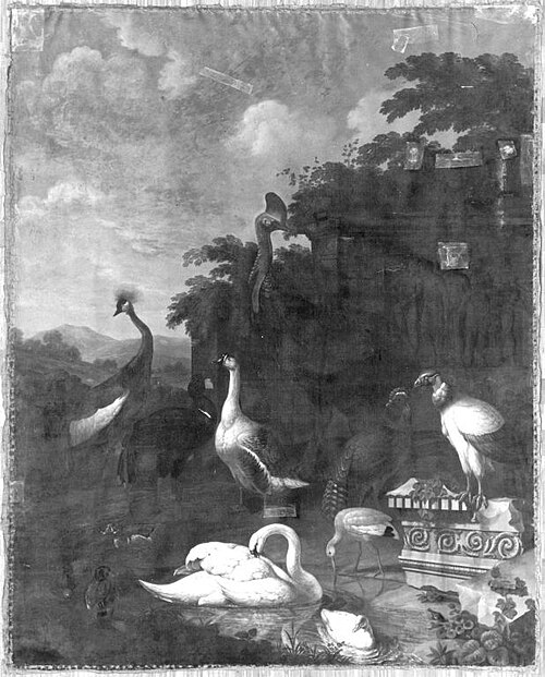 Vögel aus der Menagerie zu Nymphenburg, 1823, Johann Michael Schnitzler