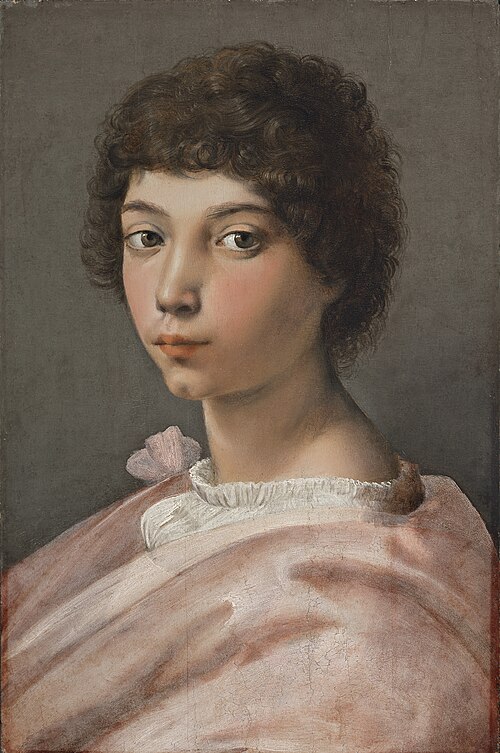 Portrait of a Young Man, 1515, Raphael