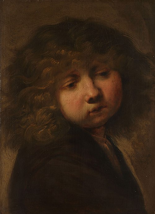 Head of a boy, 1643, Rembrandt