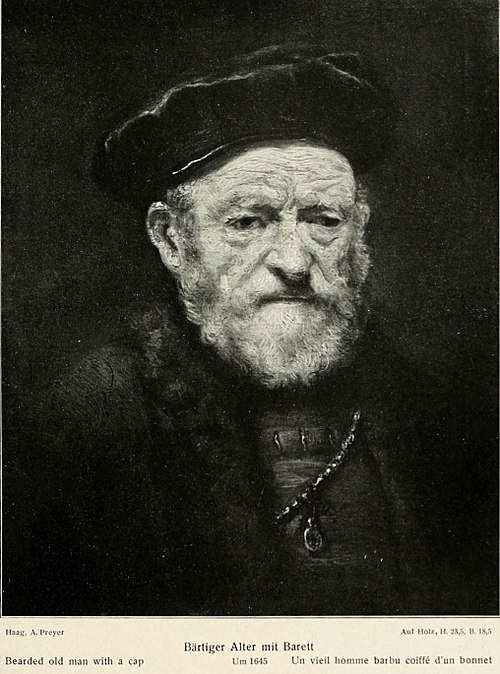 Bearded Old Man with a Cap, 1645, Rembrandt
