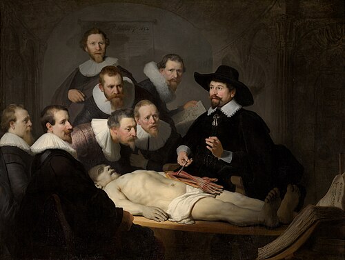 The Anatomy Lesson of Dr. Nicolaes Tulp, 1632, Rembrandt