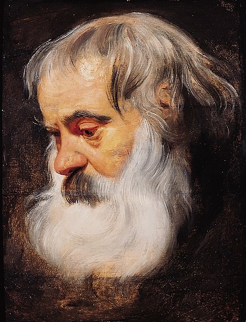 Portrait of an Elderly Man, 1640, Pierre Paul Rubens