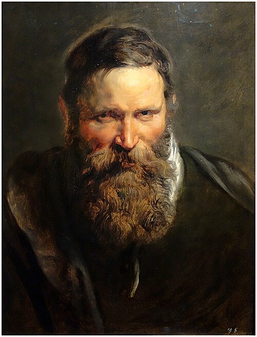 Study of the Head of a Bearded Man, 1616, Pierre Paul Rubens