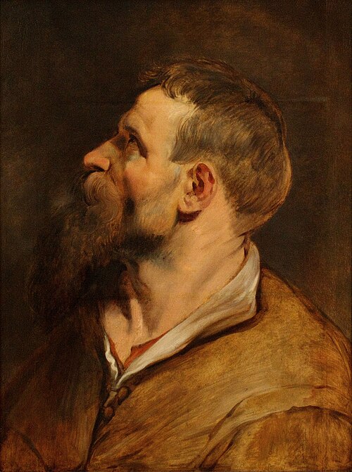 Head of a bearded man looking left, 1611, Peter Paul Rubens