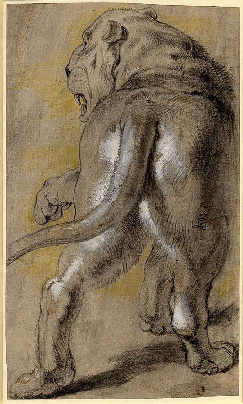 Lion, 1614, Pierre Paul Rubens