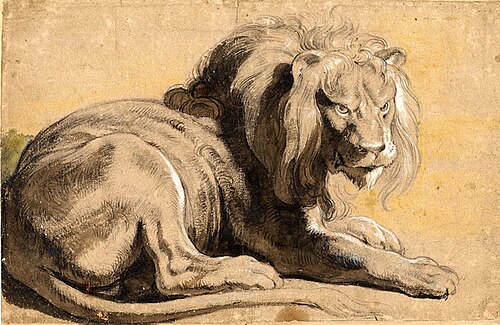 Lion, 1613, Pierre Paul Rubens