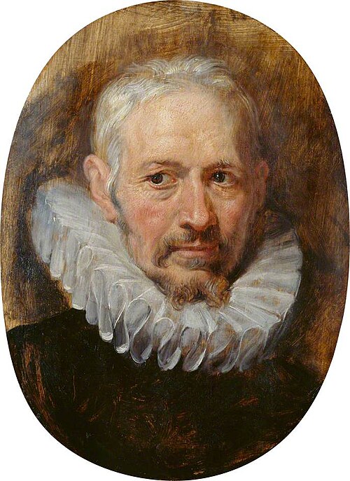 Head of an Old Man, 1620, Pierre Paul Rubens
