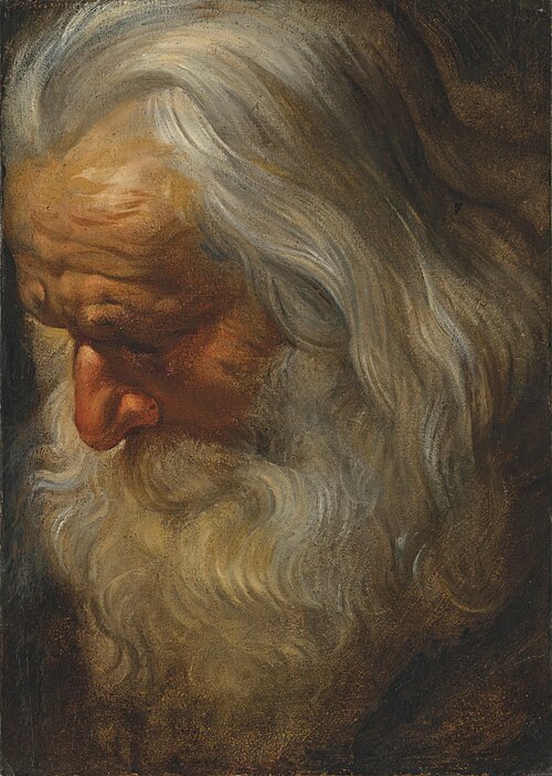 Head study of a bearded old man, 1618, Pierre Paul Rubens