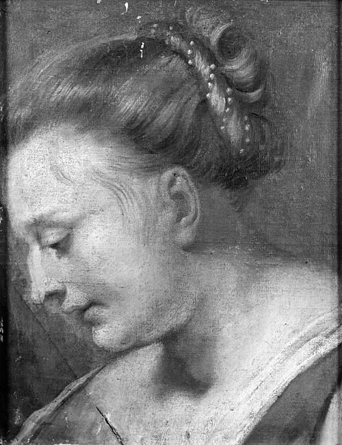 Head of a Woman, , Pierre Paul Rubens