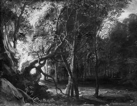 Wooded Landscape, 1640, Peter Paul Rubens