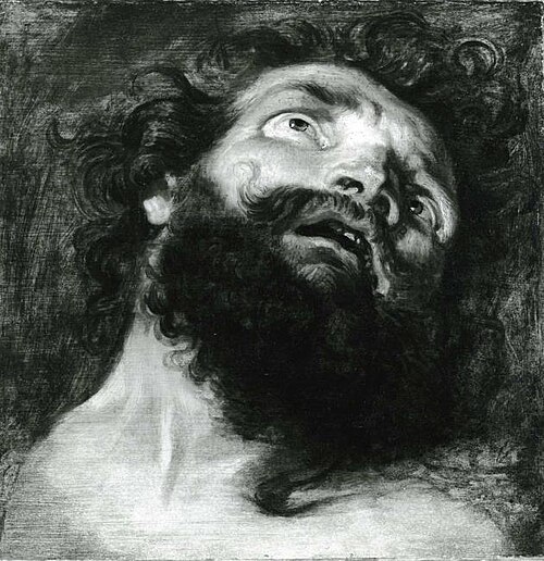 Head of a Man, 1611, Pierre Paul Rubens