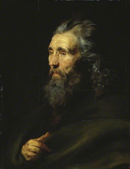 Head study of a bearded man, 1617, Peter Paul Rubens