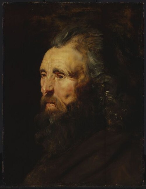 Study of a Man's Head, 1618, Peter Paul Rubens