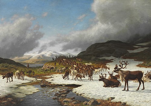 Reindeer herd in the mountains north of Røros, , Carl Henrik Bogh