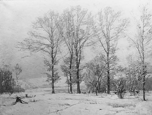 Snow Flurries, 1935, John Fabian Carlson