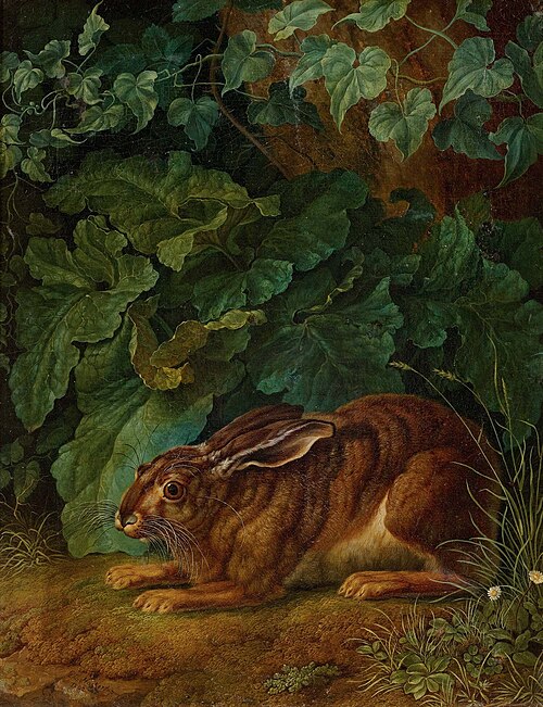 Hase im Gebüsch, 1803, Jacob Philipp Hackert