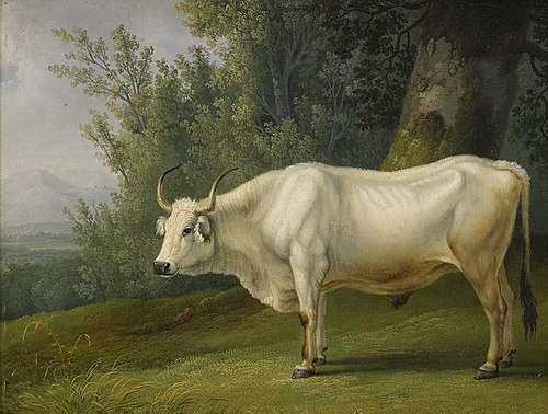 Landskap med tjur, , Jacob Philipp Hackert