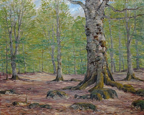 Bokskog i vårgrönska, 1918, Wilhelm Dahlbom