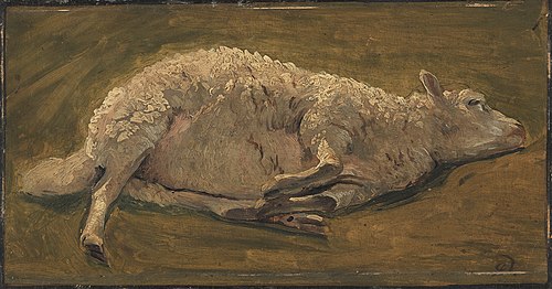 Studie af et liggende får, 1846, Carlo Eduardo Dalgas
