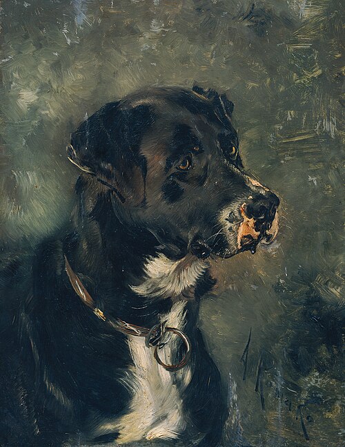 Kopf eines Fleischerhundes, 1881, Anton Romako