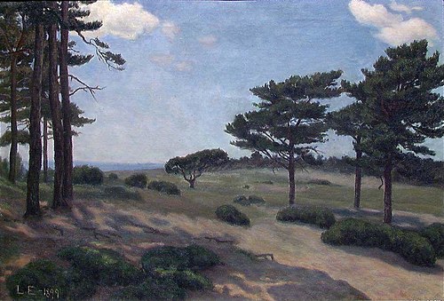 Landscape from Hvaler, 1899, Lars Martin Eriksen