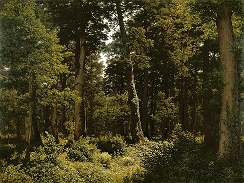 Eichenwald, 1881, Robert Zünd