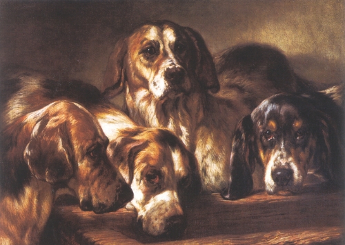 French hounds, 1858, Benno Adam