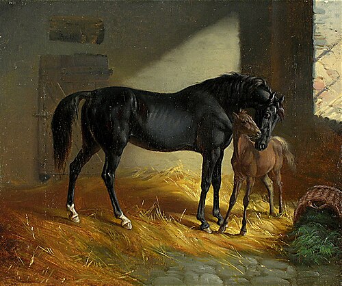 Pferd und Fohlen in der Stallung Balz, 1850, Benno Adam