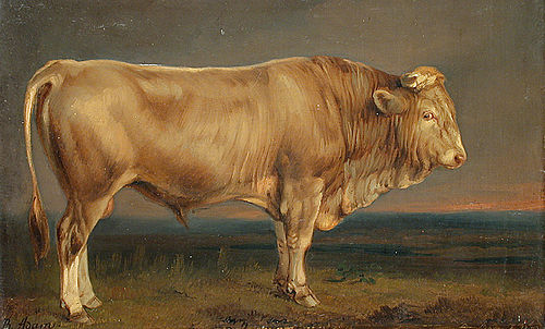 Bull, , Benno Adam