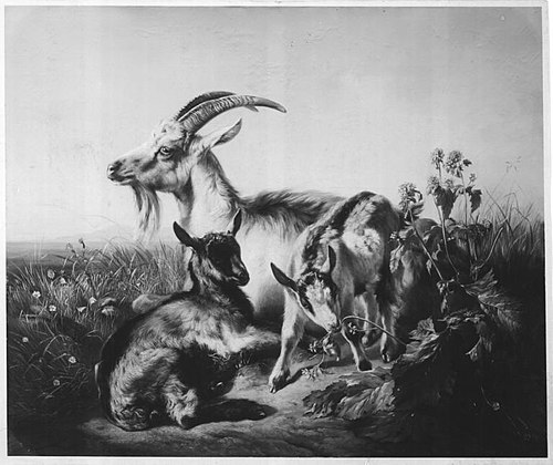 Ziegen auf der Wiese, 1854, Benno Adam