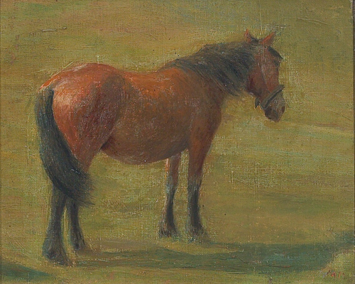 Horse in a field., 1896, Michael Therkildsen