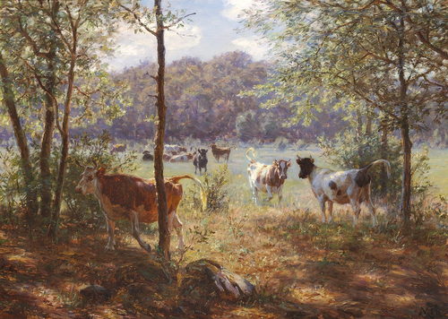 Cows running around., 1896, Michael Therkildsen