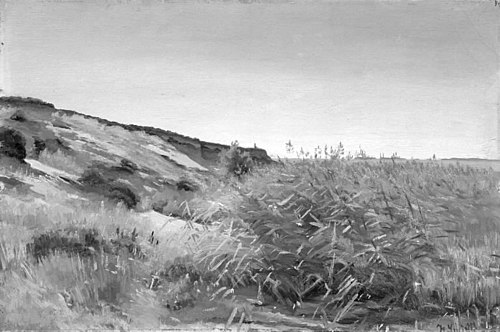 Dunes and Rushes, 1885, Hans Ludvig Smidth