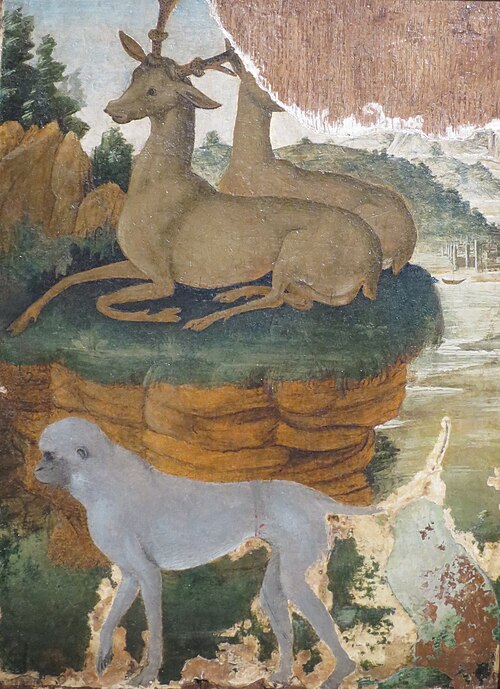Paysage avec deux cerfs et deux singes, , Sandro Botticelli