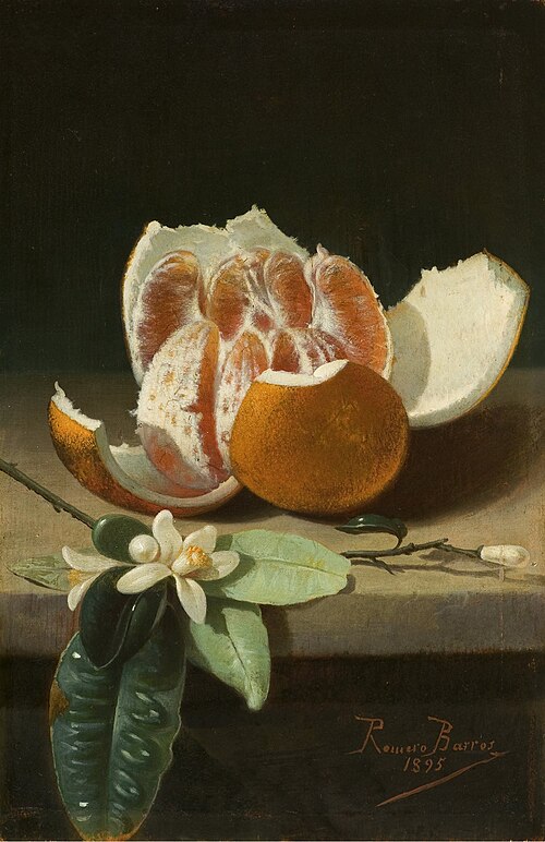 Naranja abierta y azahar, 1878, Rafael Romero Barros