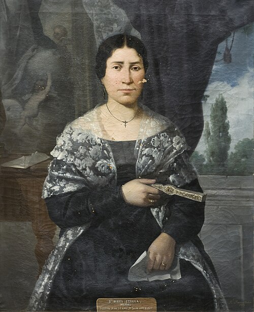 Portrait de doña Serapia Muñoz, 1875, Rafael Romero Barros