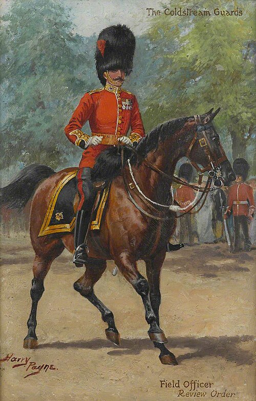 The Coldstream Guards Field Officer Review Order, 1905, Harry Payne
