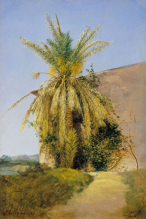 Palm, 1847, Antal Ligeti